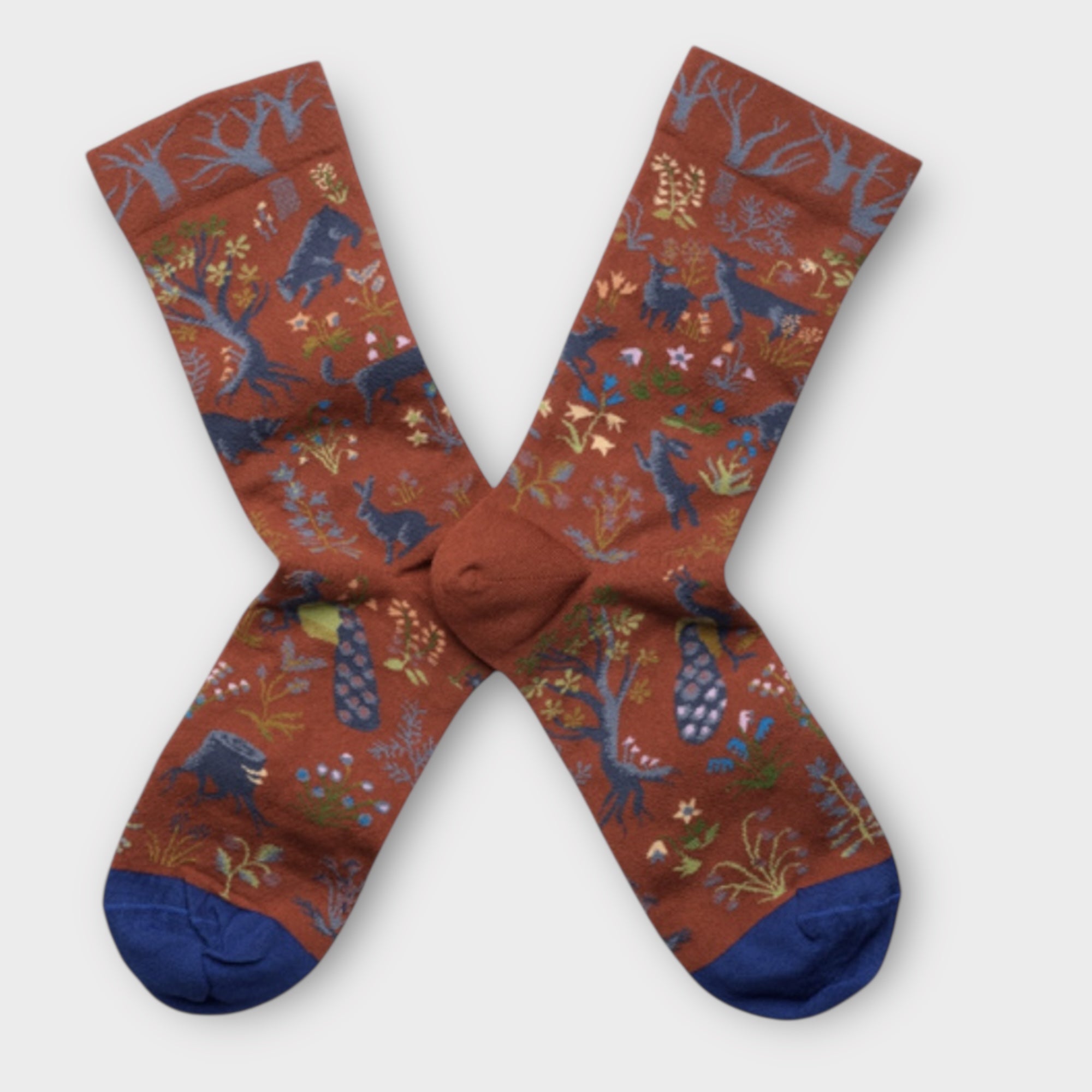 Calze Bonne Maison Mid Calf In Cotone