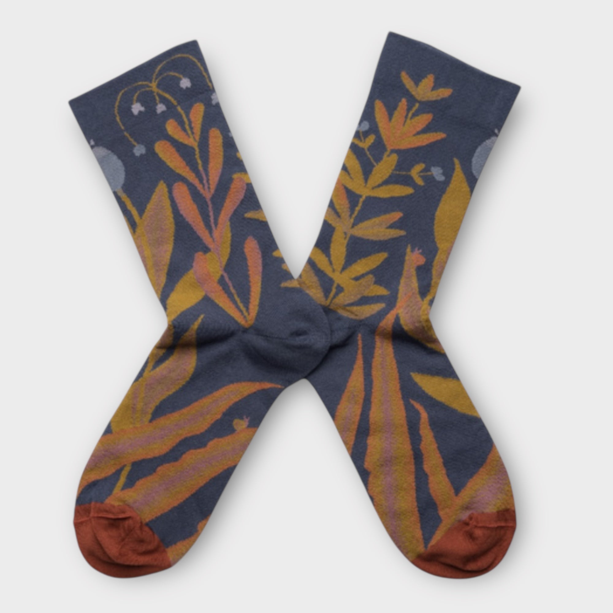 Calze Bonne Maison Mid Calf In Cotone