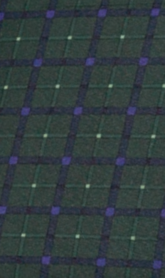 Ombrello Da Uomo Mini Automatico apri chiudi Scozzese