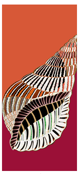 Sciarpa Estiva Unisex  90x200 cm Fantasia Conchiglia - Cappelleria Bacca